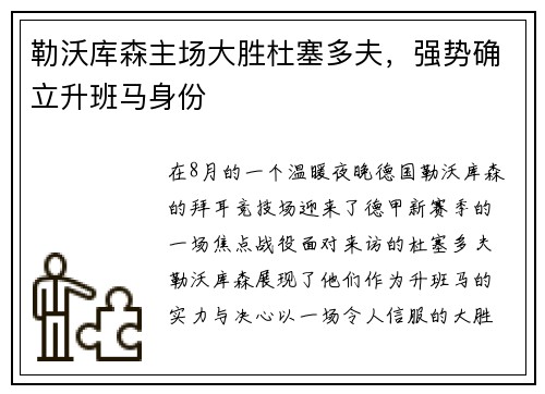勒沃库森主场大胜杜塞多夫，强势确立升班马身份